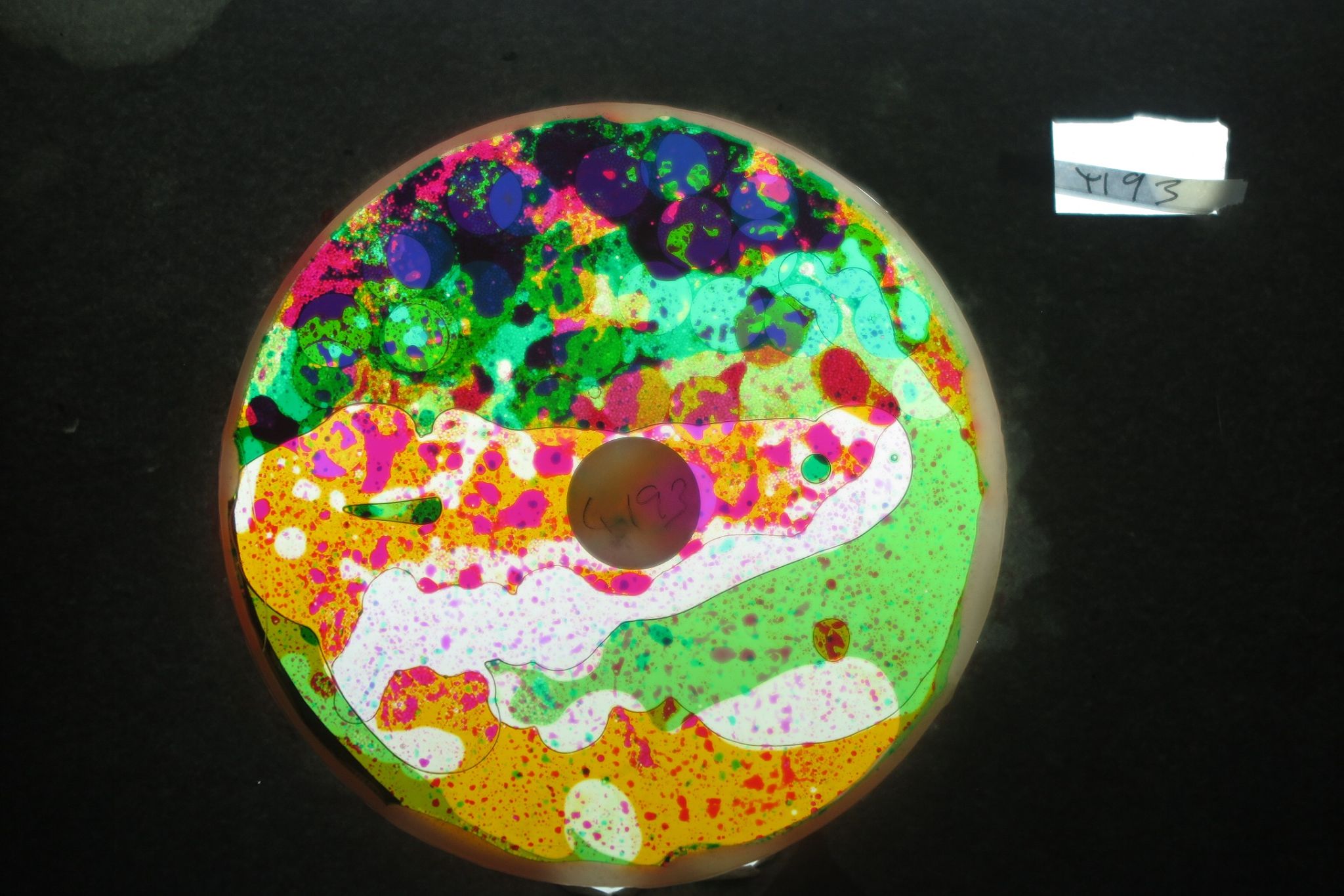 BV4193 bubble vision oil wheel